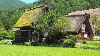 【白川郷】世界文化遺産・白川郷合掌造り/gihu Prefecture