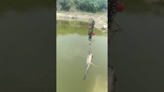 ballset fishing part 1 🐠 | பால் செட்டில் மீன் பிடிப்பது எப்படி | #fishing #fishingtamil #shortsfeed