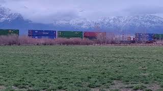 UP 8938, 7997, 7117, and 5507 Leads a Intermodal train