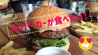 【ロードバイク Vlog】小田原までハンバーガー食べに行こう♪