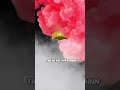 #shorts Master ScrollTrigger: Unleash Stunning Scroll-Based Animations