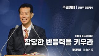 대전도안교회 주일예배 설교 [2024.10.6.] / 마(87) 합당한 반응력을 키우라 / 양형주 담임목사