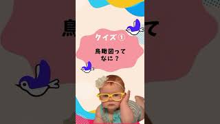 ウィンターキャンプ2024案内動画