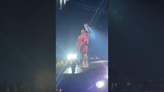 Billie Eilish Catches Bra While Performing