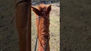 I rode today and Change the saddle pad to a thicker one and she was better only maybe 3 bucks!!