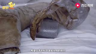 俄冻土层发现“史前巨兽”尸身完整能克隆，远古生物也能复活