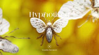 Yampolsky , Rhytmograph - Hypnotised (Axiom Records)