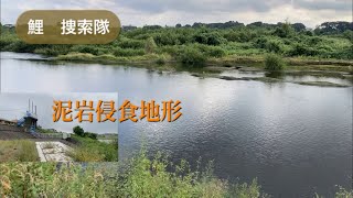 水門横から遠投入れ食い！鯉釣り並み鯉［9月］