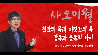 사오미월 여름에 천간의 목과 지장간의 목/갑을목의 차이