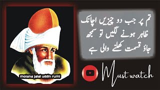 maulana rumi quotes in urdu - molana jalal uddin rumi quotes in urdu - Al Meezan Urdu Series