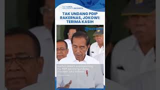 Reaksi Santai Jokowi Tak Diundang Rakernas PDIP, Istana: Beliau Selalu Menghormati dan Terima Kasih