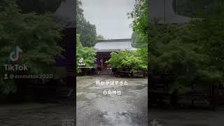 雨がやばすぎて、崖崩れに遭うかと思った、、、白鳥神社⛩#神社 #神社巡り #神社参拝 #神社仏閣 #パワースポット #パワースポット巡り #パワースポット神社 #パワースポット好きな人と繋がりたい