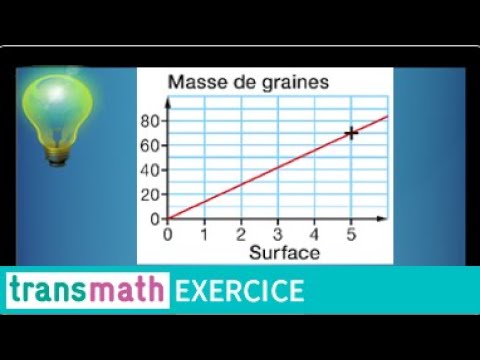 Reconnaître Graphiquement Une Situation De Proportionnalité • Quatrième ...