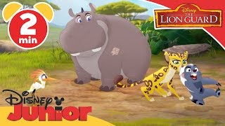 The Lion Guard | Flat Ridge Rock | Disney Junior UK