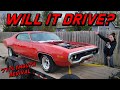 ABANDONED MOPAR Budget Performance Upgrades + First Drive in YEARS!