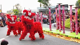 CNY High Pole Lion Dance Sentosa by Feng Qi Tian Troupe featuring Yiwei Champion Team | Sentosa