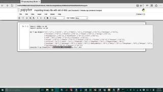 Loading Binary File As Pandas DataFrame Thru Numpy Record Array