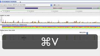 Genomic Coordinate Search in GenomeBrowse