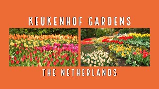 A visit to the amazing Keukenhof Gardens in The Netherlands! Bucket list item for these Australians!