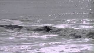 tube spin roll shonan beach bodyboard