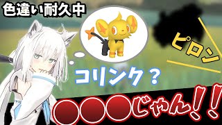 【Pokémon LEGENDS アルセウス】コリンクの色違いを探す中，予想外の色違いポケモンと出会ってしまう白上フブキ【白上フブキ/ホロライブ切り抜き】