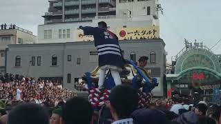 Mikoshi Smashing Autumn Festival Japan 2019