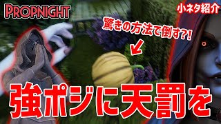 「アーカーシャ」でも使える！強ポジで油断してる敵の隙を突く攻撃がヤバい！【Propnight】鳥の爪団実況#32