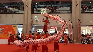 新加坡文扬龙狮运动协会 Wen Yang LED Dragon Dance \u0026 War Drums Performances at Yishun Northpoint City on 19/1/20