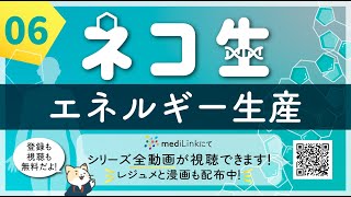 ⑥酸素なしでも生きられる！？エネルギー産生（解糖系、クエン酸回路、電子伝達系、ATP）【ネコ生】