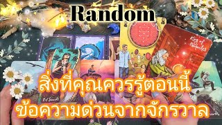 Random💫ep358สิ่งที่คุณควรรู้ตอนนี้ข้อความด่วนจากจักรวาล