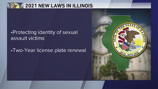 Minimum wage increase, insulin price cap: New laws coming to Illinois in 2021