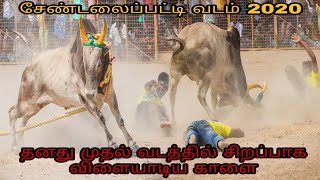 சேண்டலைப்பட்டி வடமாடு மஞ்சுவிரட்டு | தனது முதல் வடத்தில் சிறப்பாக ஆட்டம் ஆடிய காளை