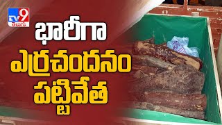 చెన్నైలో భారీగా పట్టుబడ్డ ఎర్ర చెందనం - TV9