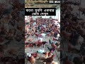 মুরগি গুলোর বয়স 45 দিন