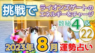 【数秘④㉒】2023年8月運勢ライオンズゲート「挑戦で」エネルギーチャージ