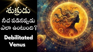 శుక్రుడు నీచ పడినప్పుడు ఎలా ఉంటుంది? Debilitated Venus