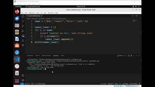 Assert statement to check or debug your code in Python