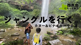 カヌーとピナイサーラの滝・西表島のジャングルを行く（Kayak / Canoe Tour in Iriomote Island / Pinaisara waterfall)