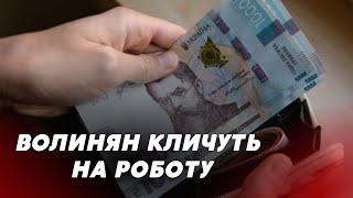 💸Топ вакансії Волині💰 Що пропонують роботодавці?