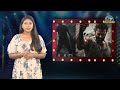 షాకింగ్.. డైనో సలార్ డైరెక్ట్ ఎటాక్ prabhas salaar ntv ent