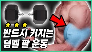 [덤벨운동] 꽉 차는 머슬핏 만드는 덤벨 팔 루틴!? (이두, 삼두 슈퍼세트) | 팔 둘레 3cm 펌핑 가능