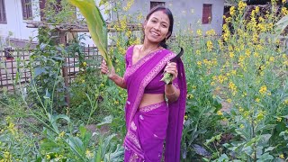 আমাৰ সৰু  kitchen garden খন .dangar bilahi bahut lagise dei.