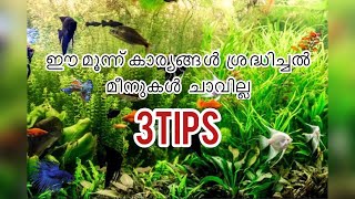 മീൻ വളർത്തുന്നവർ ശ്രദ്ധികേണ്ട കാര്യങ്ങൾ||മീൻ ചാവാതിരുക്കാൻ||3TIPS || AS FARM | #trending #subscribe