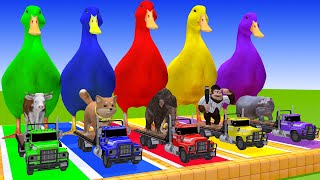 5 Giant Duck Cartoon Cow Hippo Mammoth Tiger Monkey Paint Wild Animals Crossing Foutain Animation