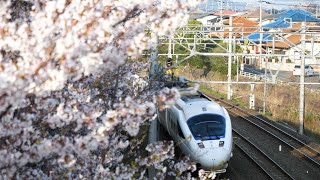 【桜】桜舞う中を走る鹿児島本線の列車集@東福間～福間【4K】