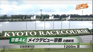 【2歳新馬/シュークリーム】メイクデビュー京都［2023.10.15 京都第4R/1200m 芝］