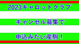 2023キャロットキャンセル募集について！！