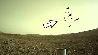 New Video Footage of Mars: Mars Latest Stunning Video | Mars 4k Video: New Mars Video : Mars Footage