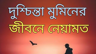 দুশ্চিন্তা মুমিনের জীবনে নেয়ামত। #Daily_Reminder