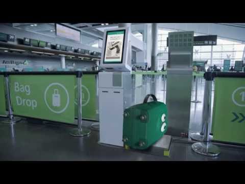 aer lingus hand luggage weight